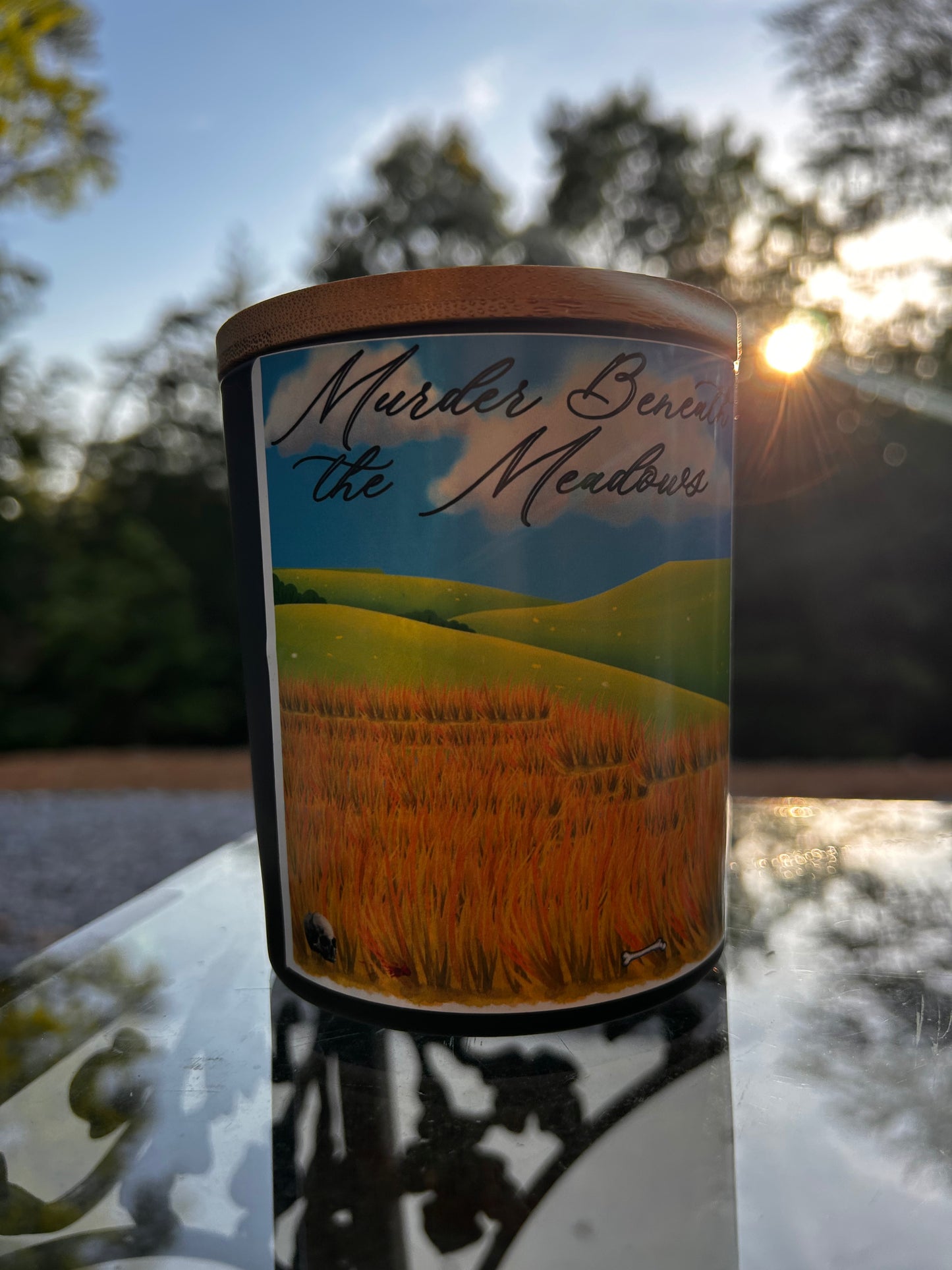 Murder in the Meadows - A Story of the Birth of Forensic Science.