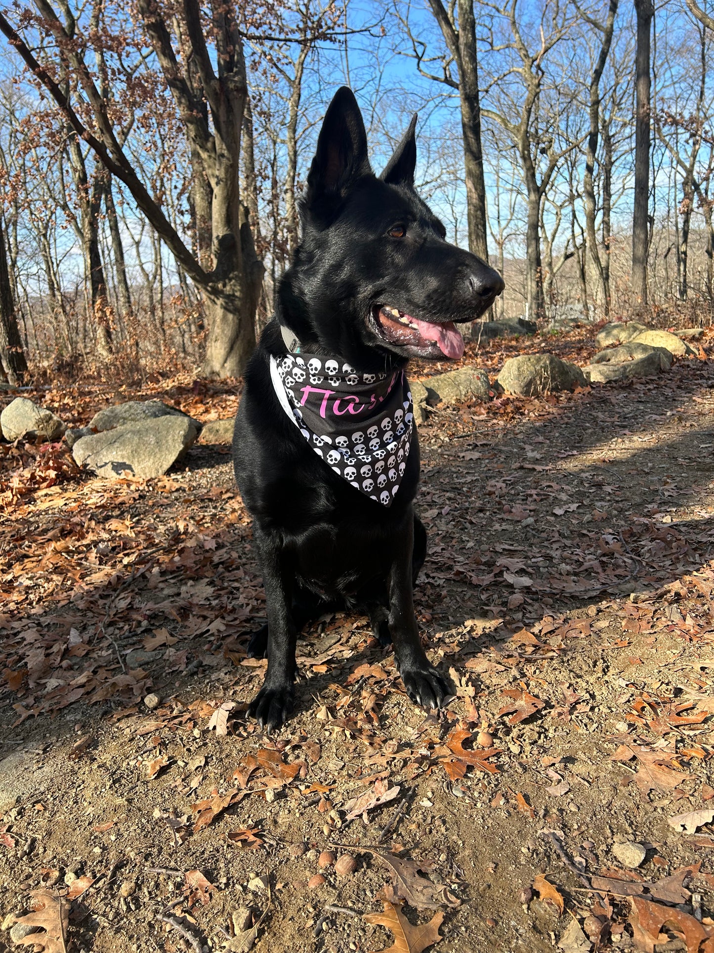 Personalized Skull Print Pet Bandana