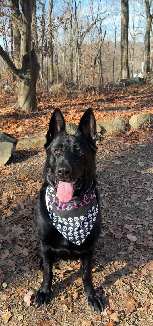 Personalized Skull Print Pet Bandana