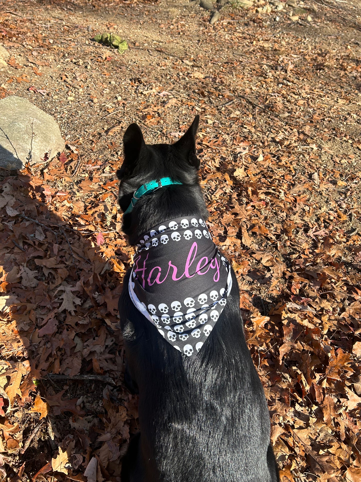 Personalized Skull Print Pet Bandana